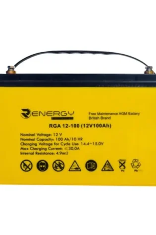100ah 12v Battery Renergy Deep Cycle Maintenance Free