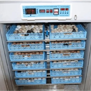 1584 EGGS PREMIER INCUBATOR