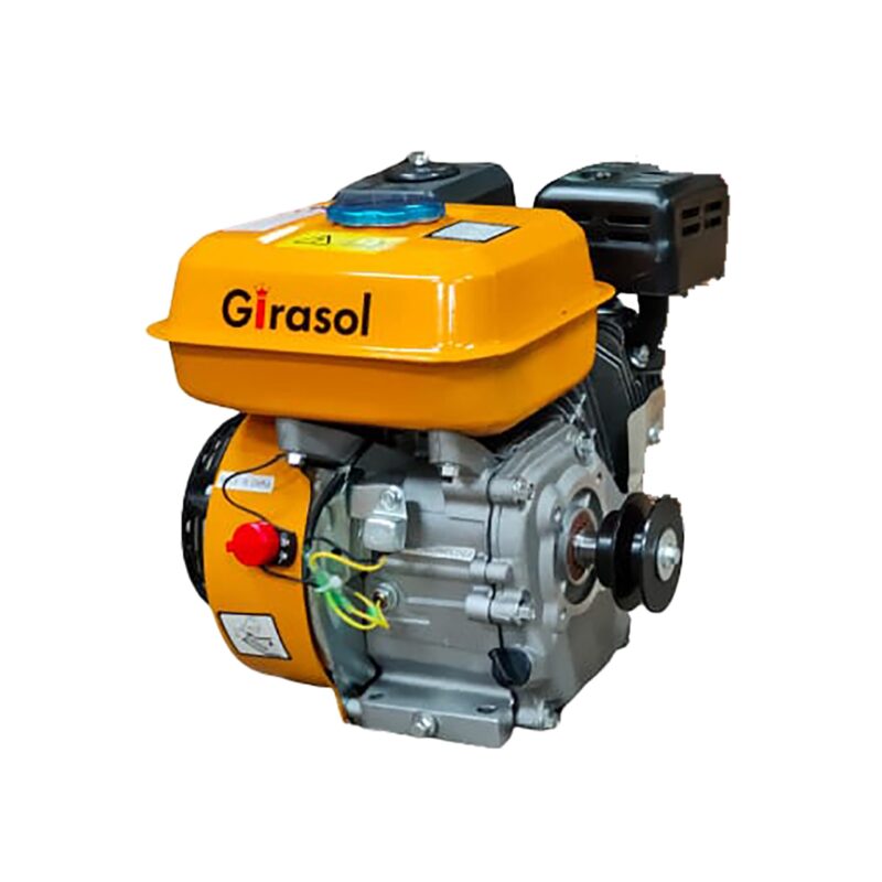 7.5hp Petrol Engine 4 Stroke Industrial Girasol