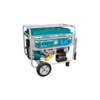 Gasoline generator TP155001