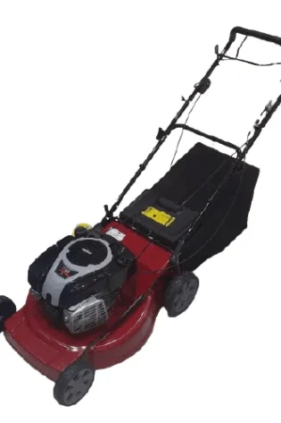 WYS21 6 hp 21" Briggs $ Stratton Lawn Mower