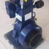 10Hp Milano Italia Diesel Water Cooled Indian Engine
