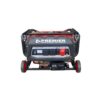 Pm3800 Premier Petrol Generator