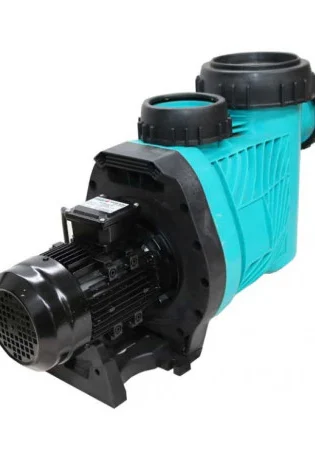 DAYLIFF DPSOLAR 1000 Solar Pool Pump